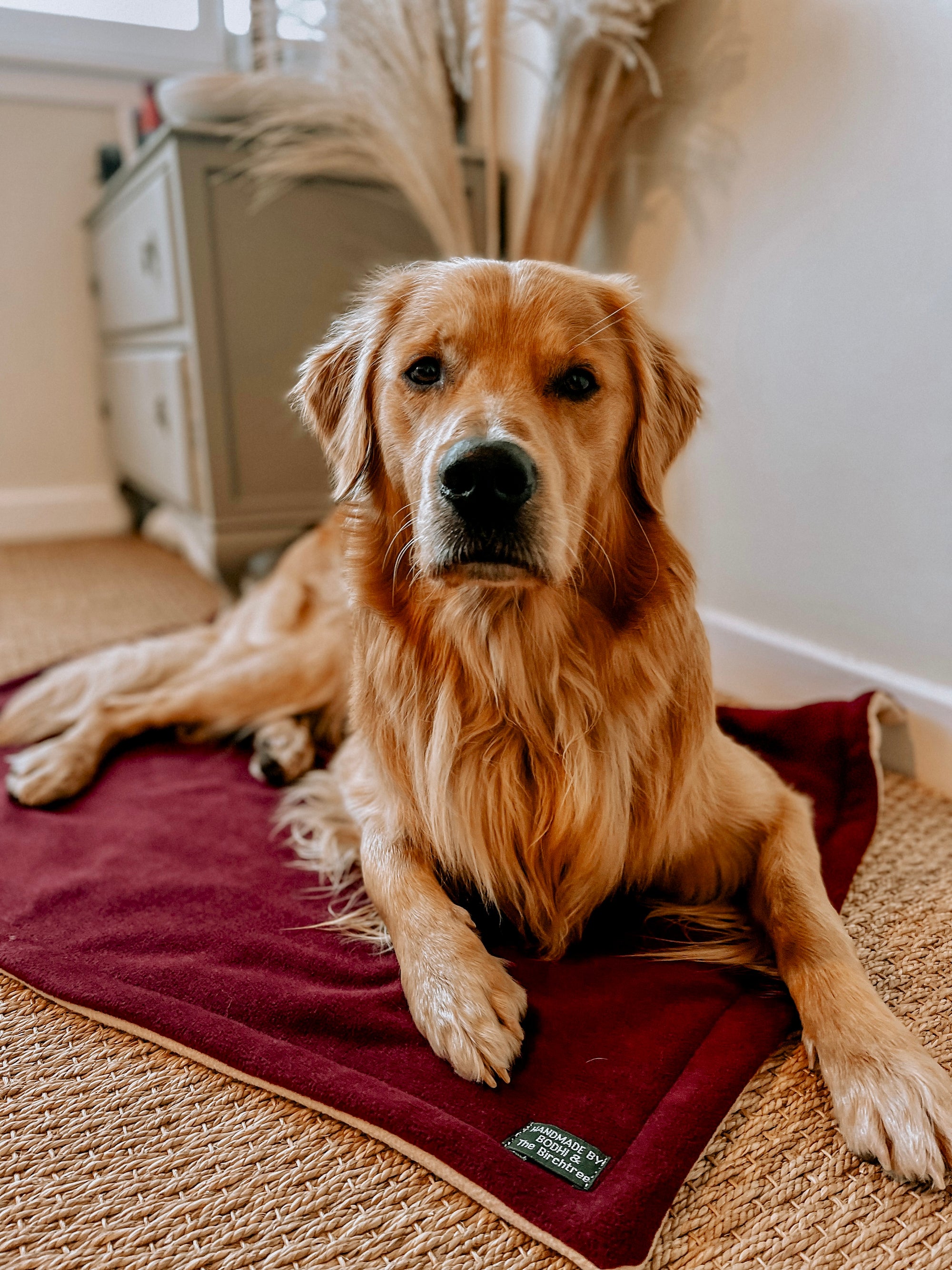 Bodhi & The Birchtree Wine Polar Fleece Blanket - Bodhi & The Birchtree