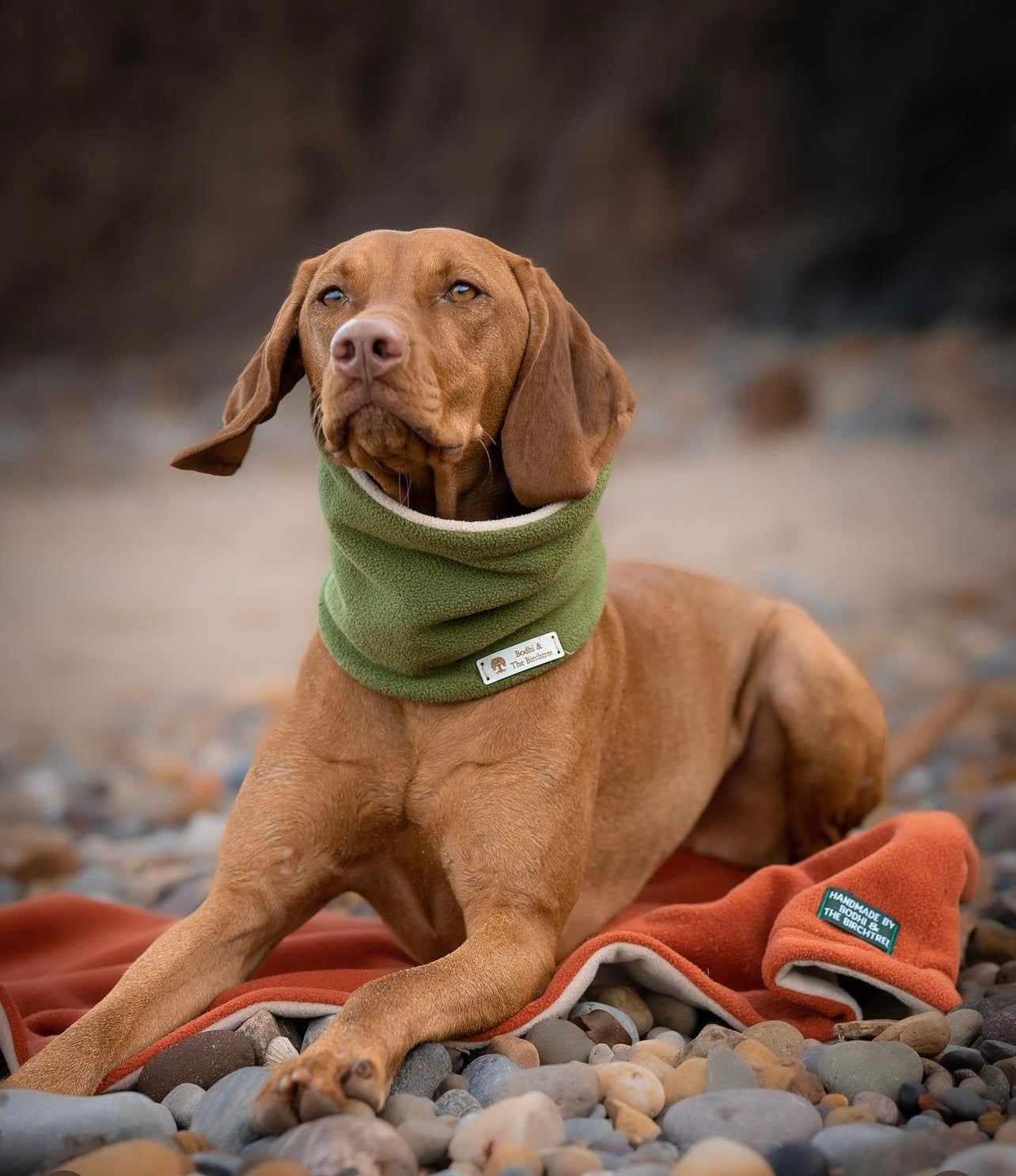 Bodhi &amp; The Birchtree Burnt Orange Fleece Blanket - Bodhi &amp; The Birchtree