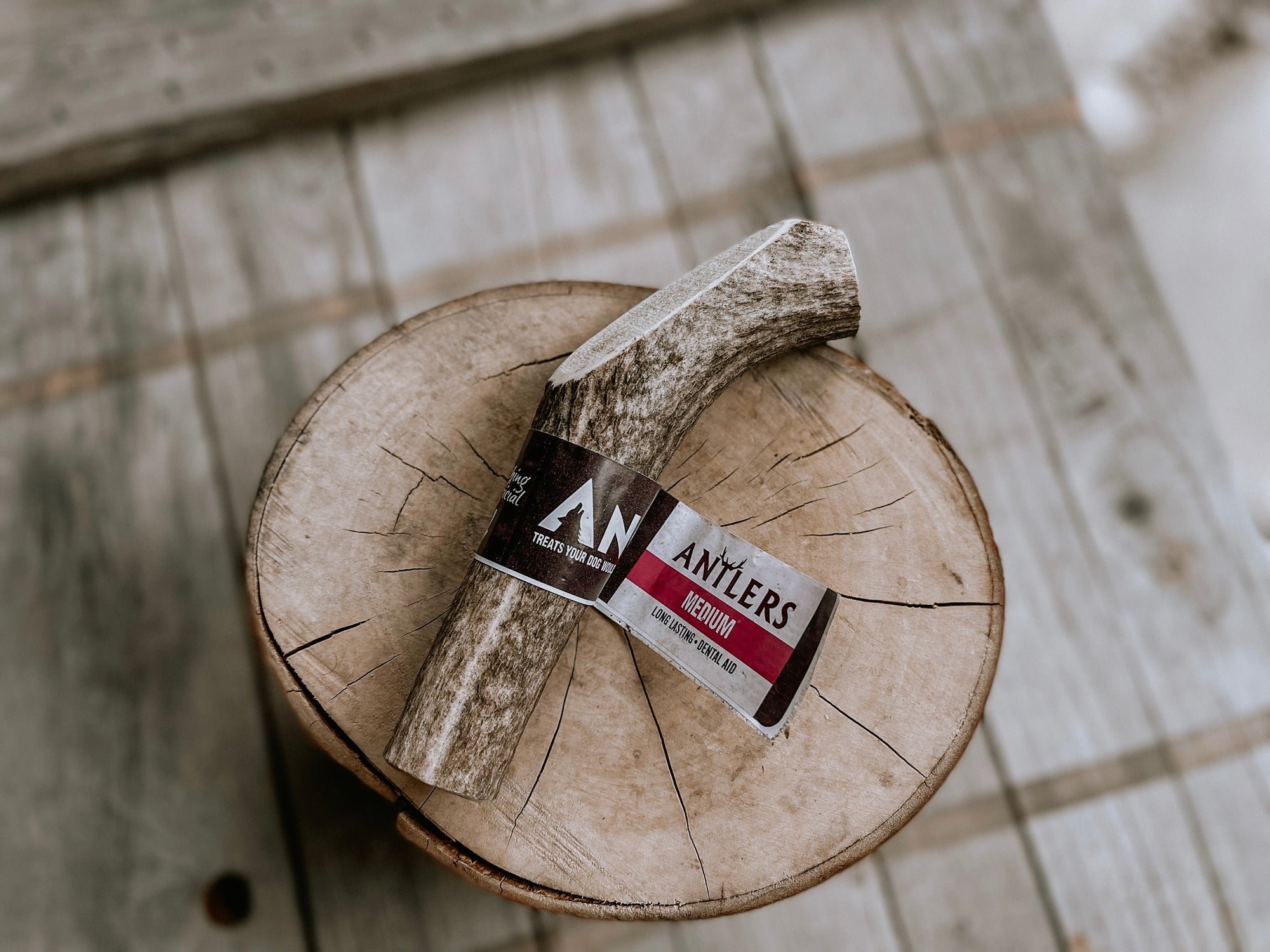 Anco medium dog antler available at Bodhi &amp; The Birchtree